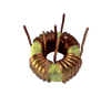 Toroidal spole